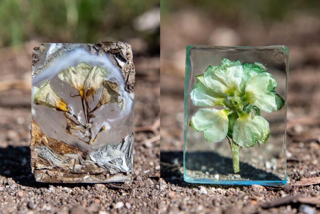 My test piece comparing biodegradable vs traditional resin flower embed after 6 months outdoors